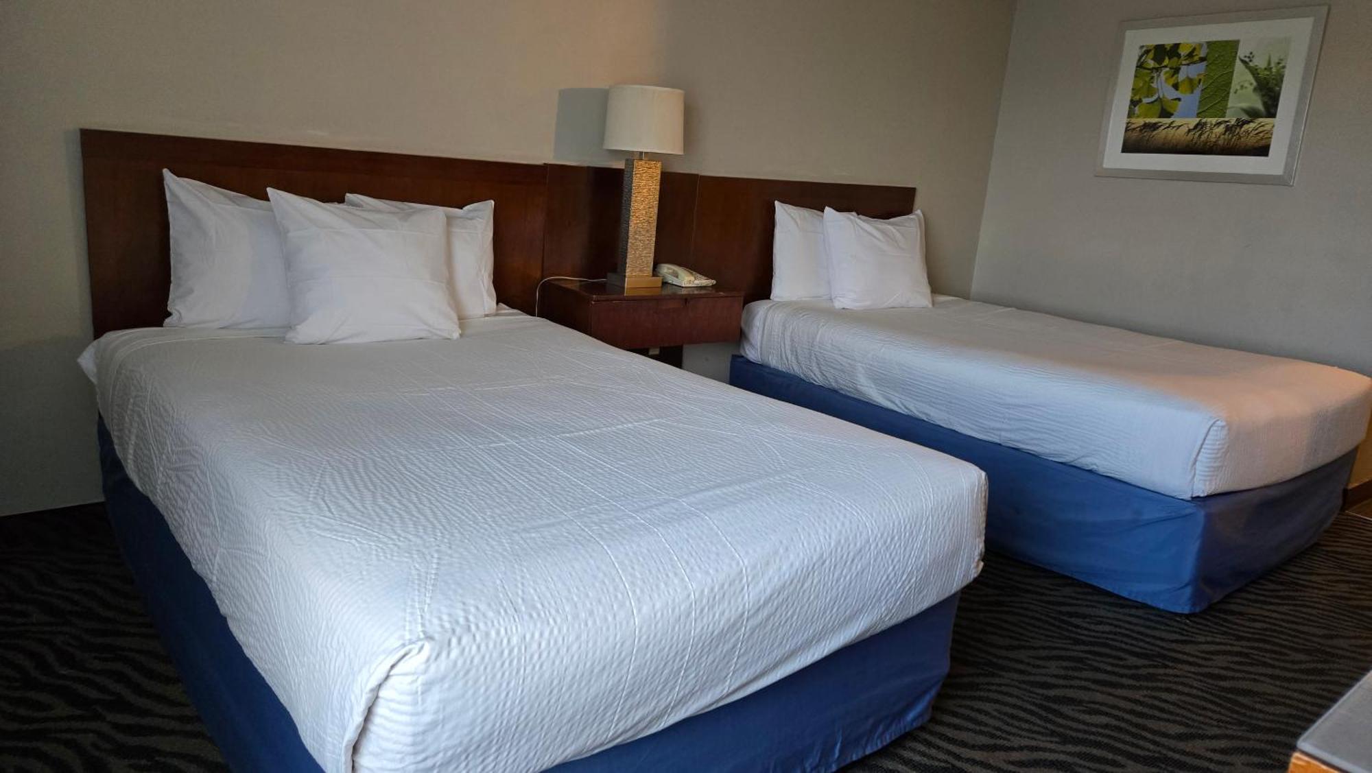 2 Double Beds Non-Smoking