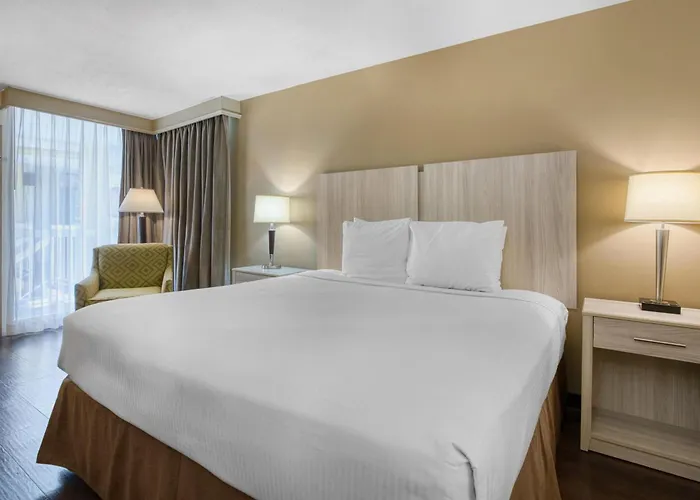 Pet Friendly hotel: Best Western Battlefield Inn